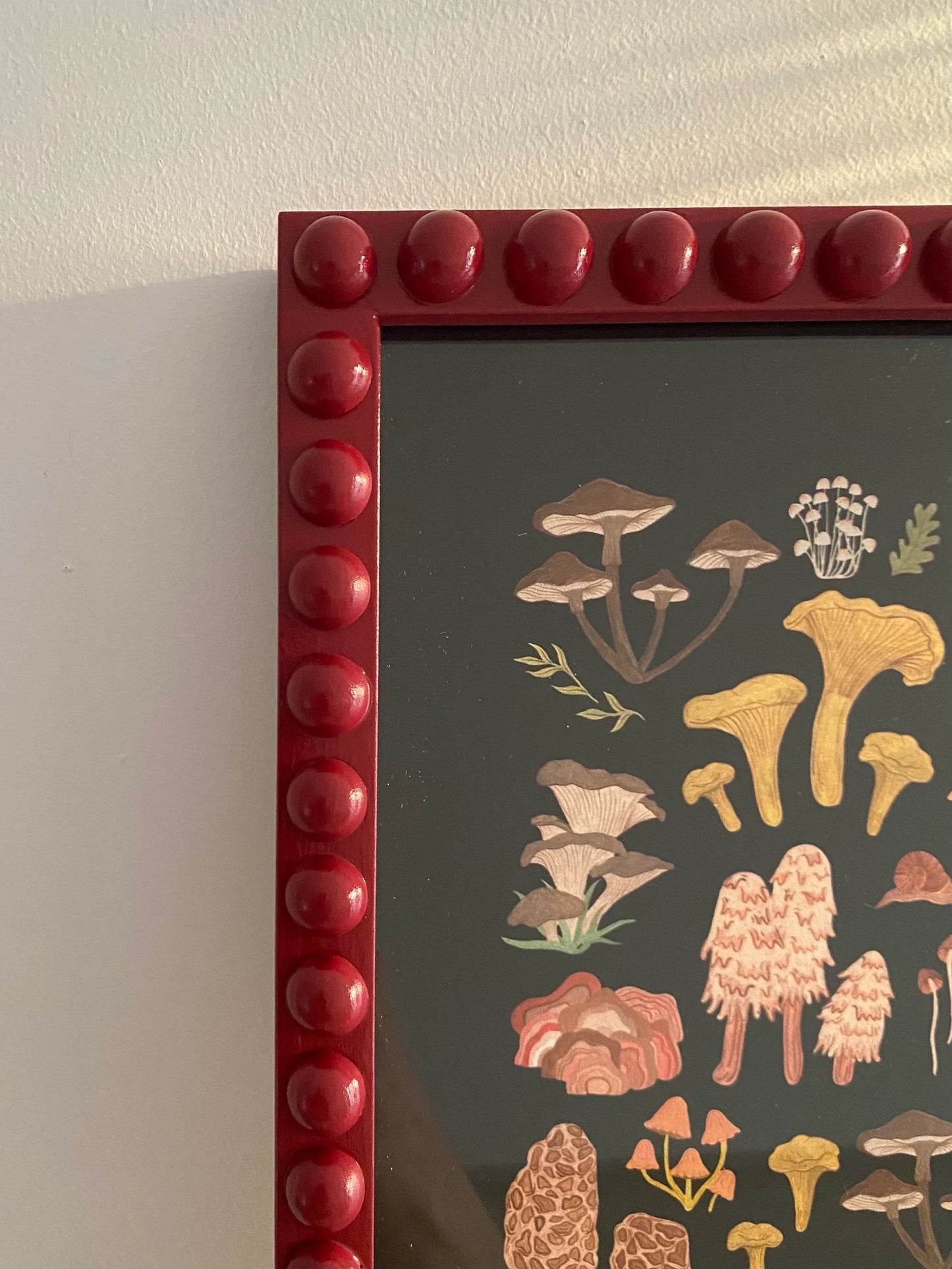 Raspberry Bobbin Frame