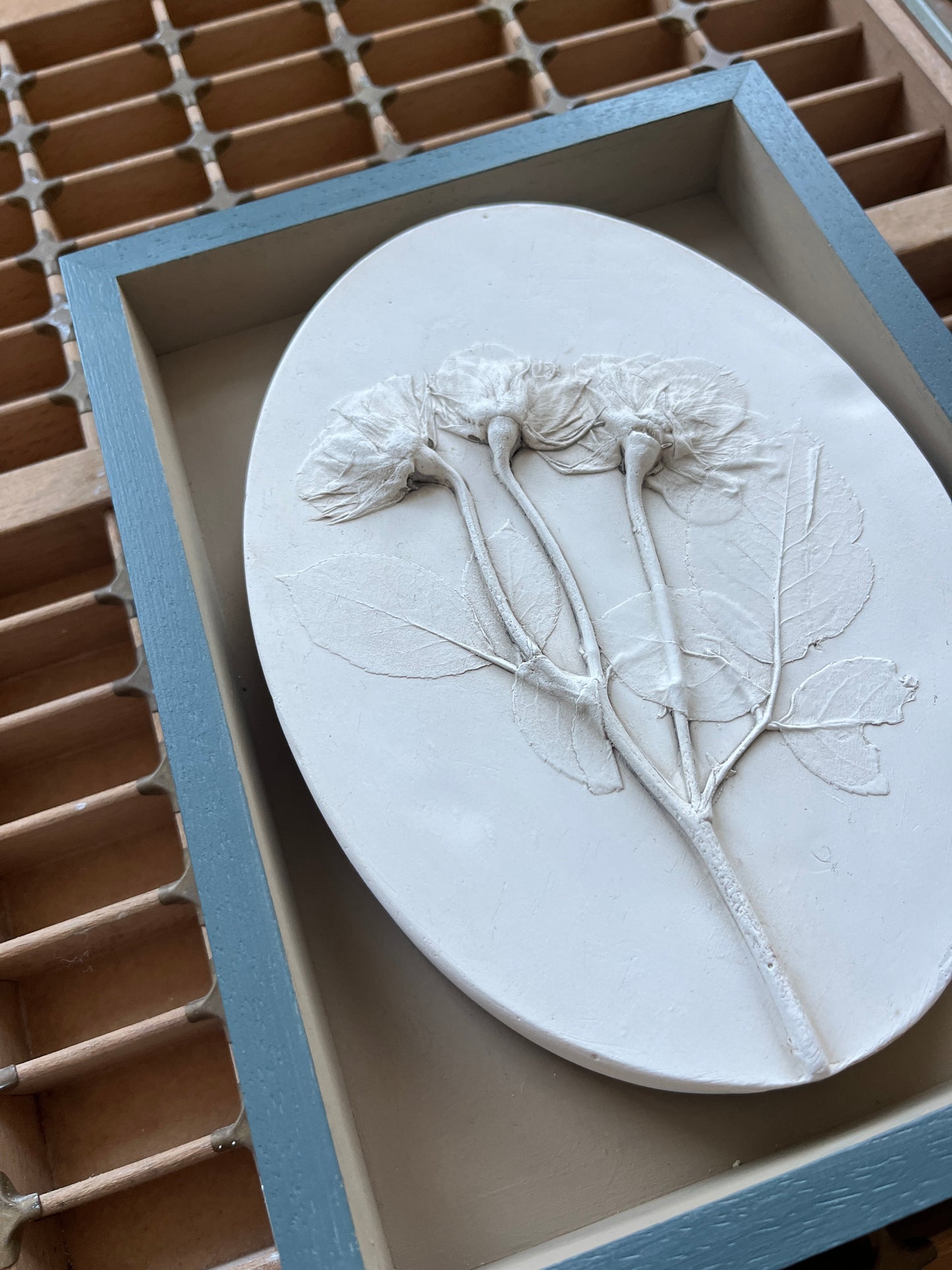 Rose Oval Botanical Cast